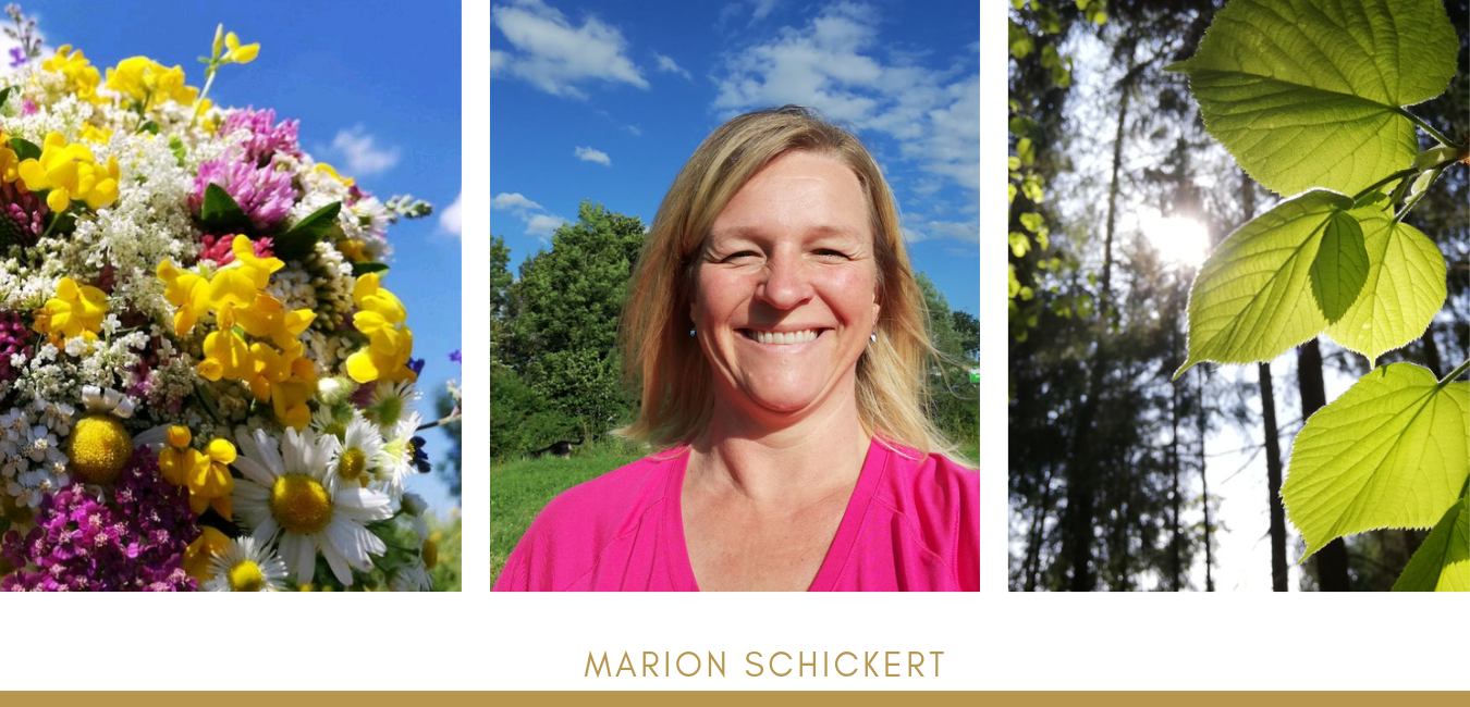 banner marion schickert illustratorin naturcoach